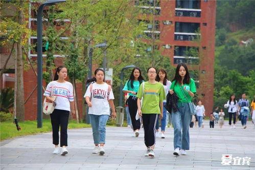 宜宾学校爆料事件的最新进展,真相逐步浮出水面，家长学生权益再引关注